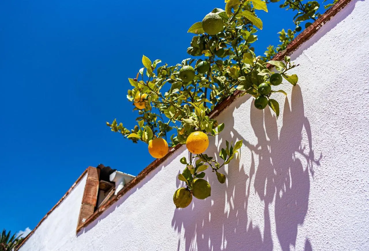 Villa Yanna بينالماذينا 0*,  إسبانيا